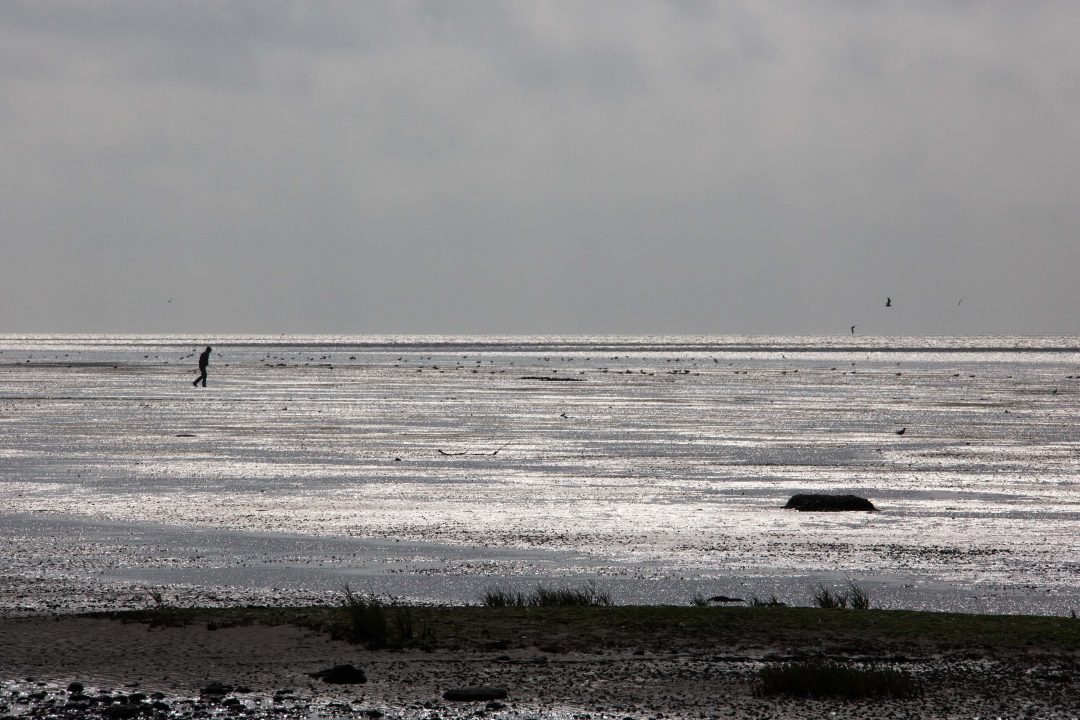 Een wandelaar op het glinsterende wad bij eb.
